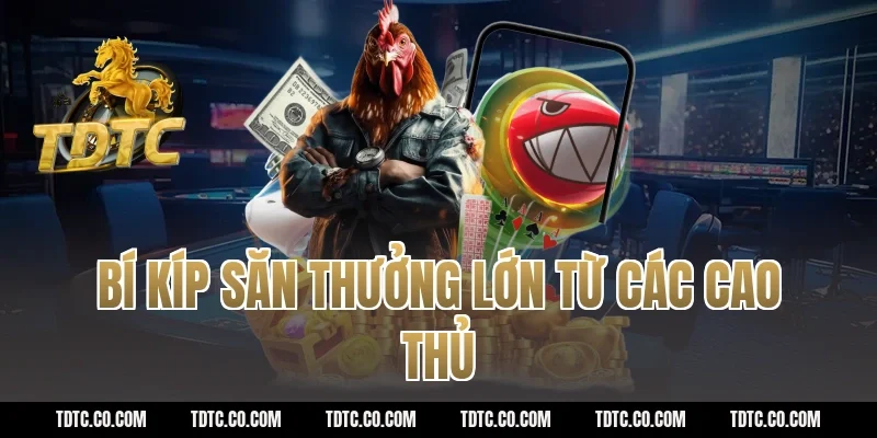 Bí kíp săn thưởng lớn từ các cao thủ