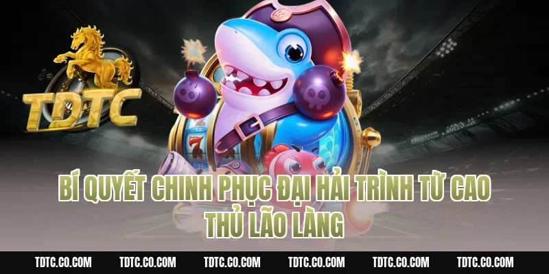 Bí Quyết Chinh Phục Đại hải trình Từ Cao Thủ Lão Làng
