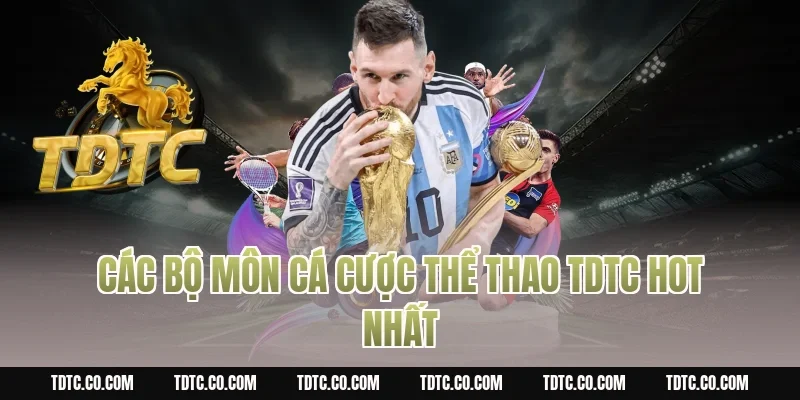 Các bộ môn cá cược thể thao tdtc hot nhất