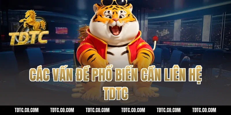 Các vấn đề phổ biến cần liên hệ TDTC