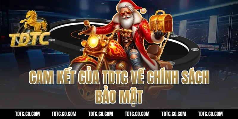 Cam kết của TDTC về chính sách bảo mật