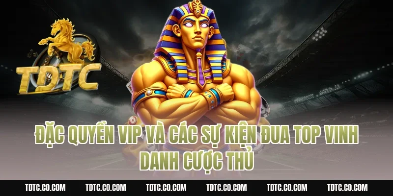 Đặc quyền VIP và các sự kiện đua top vinh danh cược thủ