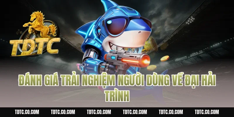 Đánh Giá Trải Nghiệm Người Dùng Về Đại hải trình