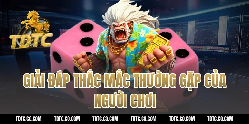 Giải đáp thắc mắc thường gặp của người chơi