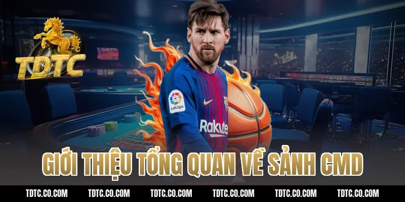 Giới thiệu tổng quan về sảnh cmd