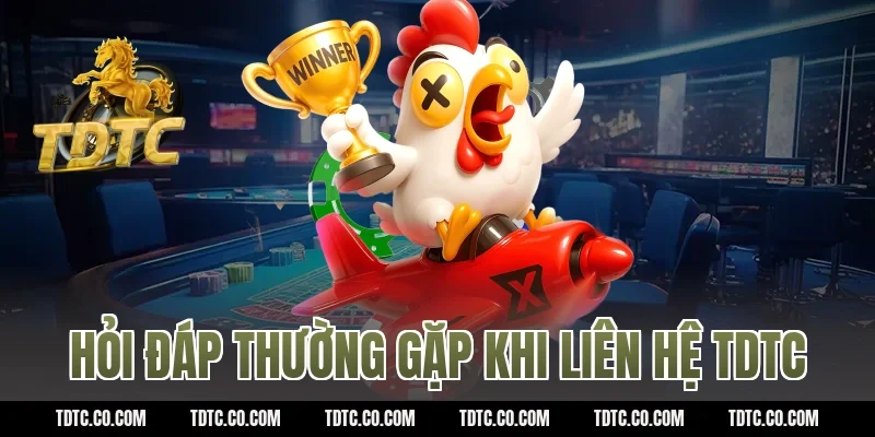 Hỏi đáp thường gặp khi liên hệ TDTC