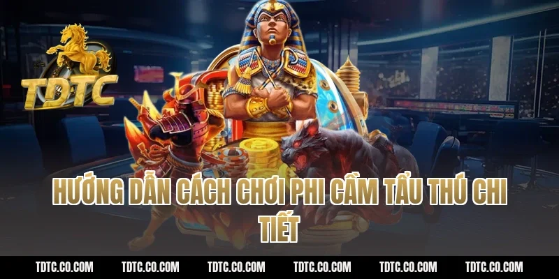 Hướng dẫn cách chơi phi cầm tẩu thú chi tiết
