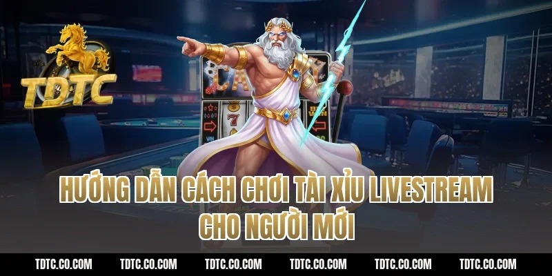 Hướng Dẫn Cách Chơi Tài Xỉu Livestream Cho Người Mới