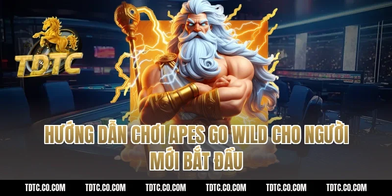 Hướng Dẫn Chơi Apes Go Wild Cho Người Mới Bắt Đầu