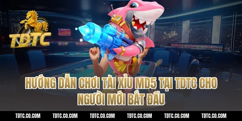 Hướng Dẫn Chơi Tài Xỉu MD5 Tại TDTC Cho Người Mới Bắt Đầu
