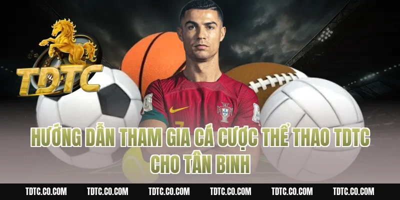 Hướng dẫn tham gia cá cược thể thao tdtc cho tân binh