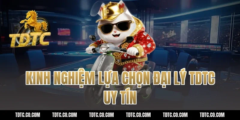 Kinh nghiệm lựa chọn đại lý tdtc uy tín