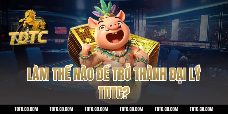 Làm thế nào để trở thành đại lý tdtc?