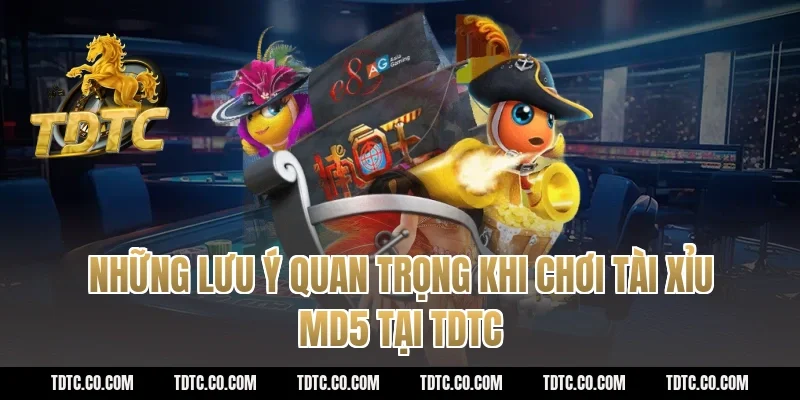 Những Lưu Ý Quan Trọng Khi Chơi Tài Xỉu MD5 Tại TDTC