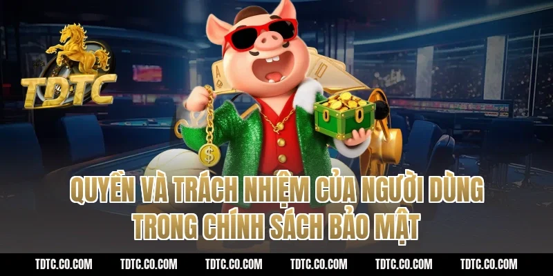Quyền và trách nhiệm của người dùng trong chính sách bảo mật