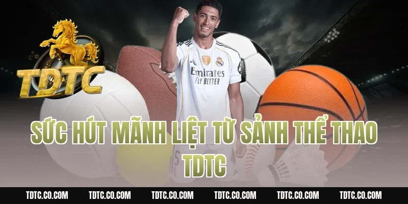 Sức hút mãnh liệt từ sảnh thể thao tdtc