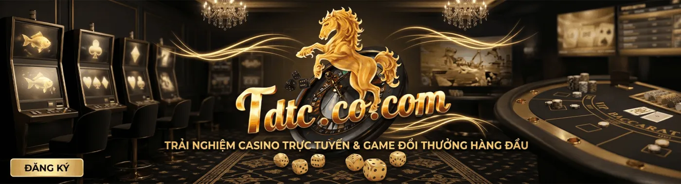TDTC