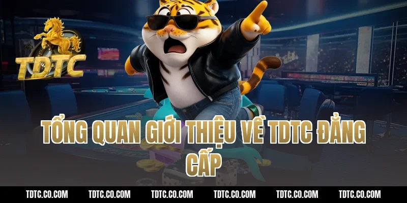 Tổng quan Giới thiệu về TDTC đẳng cấp