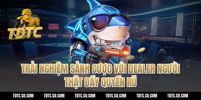 Trải nghiệm sảnh cược với Dealer người thật đầy quyến rũ