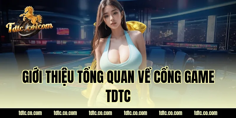 Giới thiệu tổng quan về cổng game TDTC